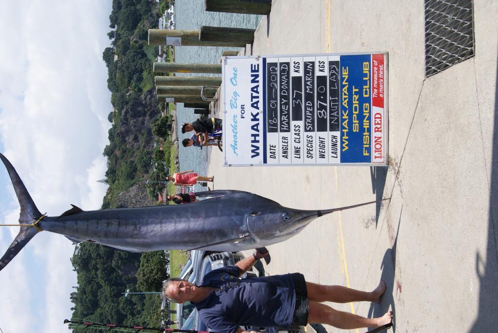 Tourist Court Motel Whakatane Εξωτερικό φωτογραφία